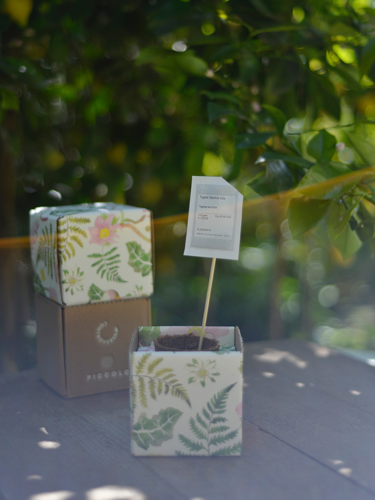 vaso reversibile controversa pot