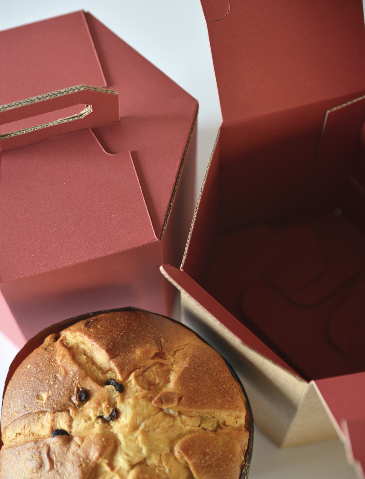 scatola panettone natale