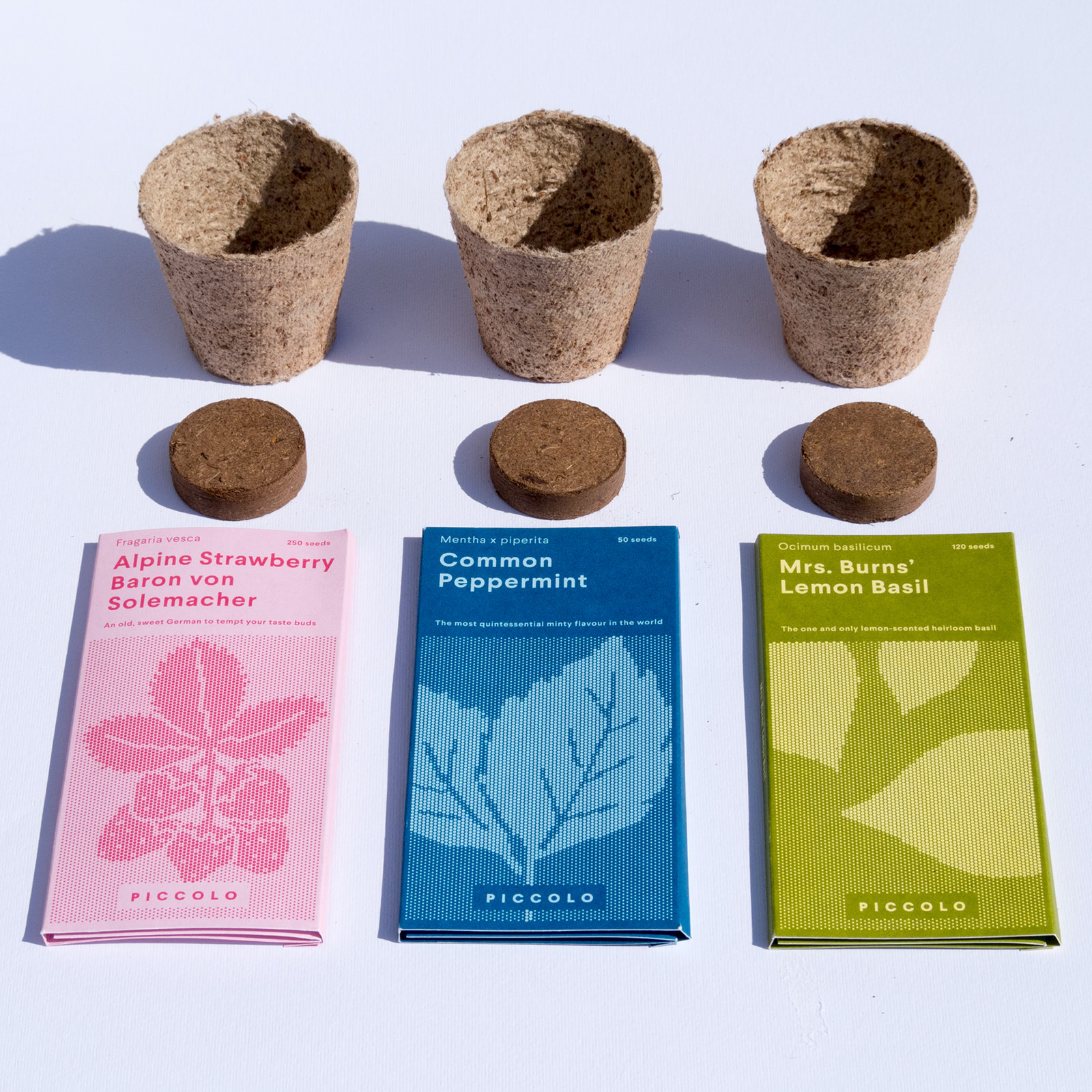 controversa e piccolo seeds