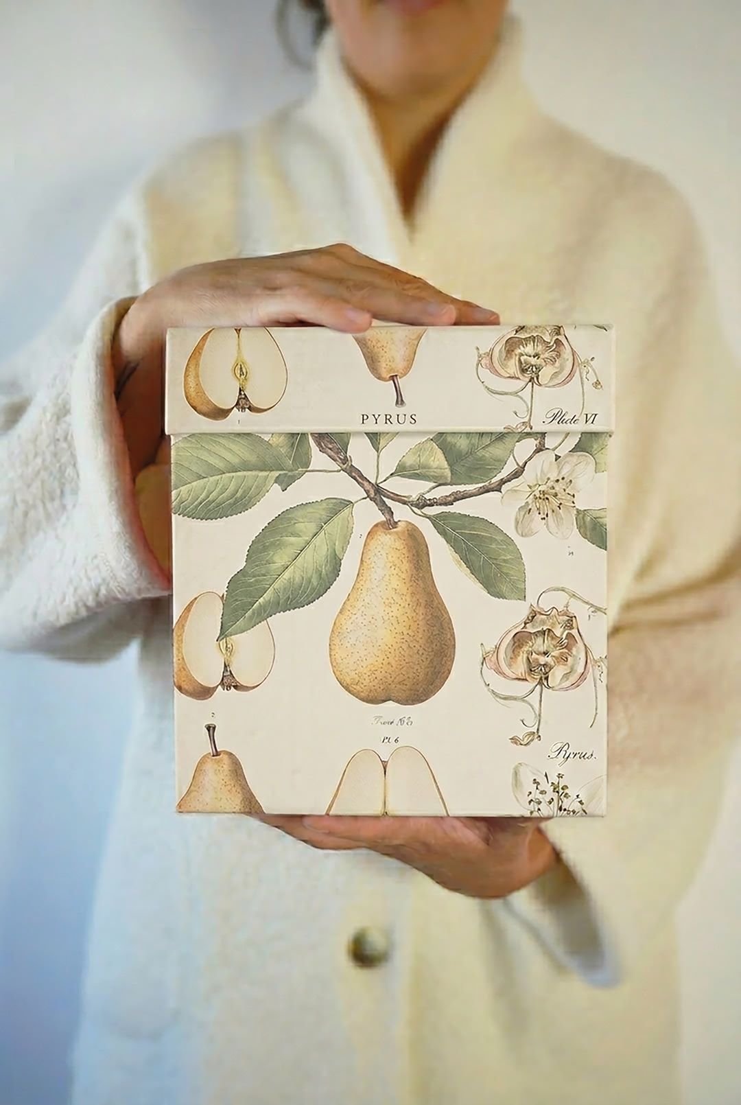 Scatola Cube per panettone con grafica vintage di pere su carta Arena Rough